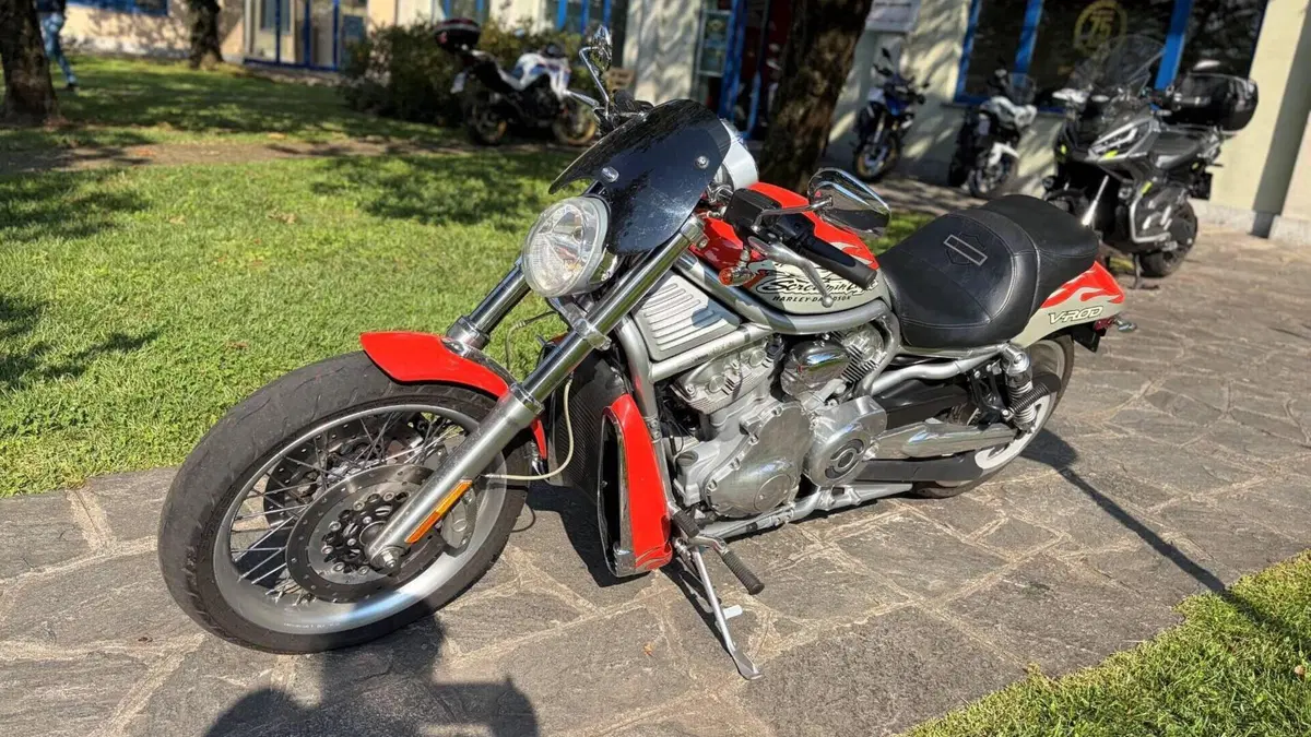 Harley-Davidson 1250 V-Rod (2005 - 06) VRSCSE  (4)