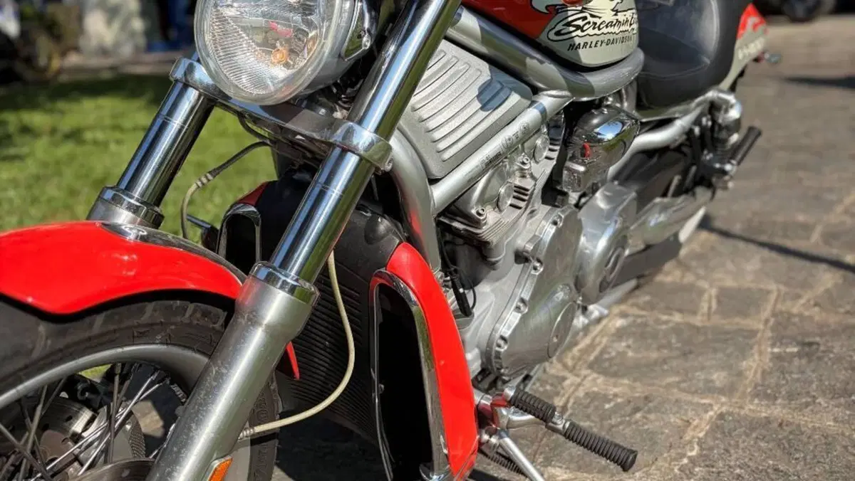 Harley-Davidson 1250 V-Rod (2005 - 06) VRSCSE  (5)