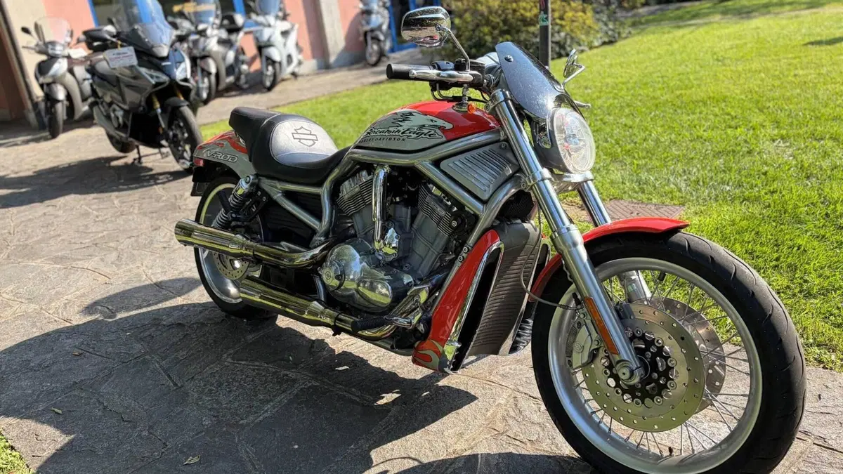 Harley-Davidson 1250 V-Rod (2005 - 06) VRSCSE  (6)