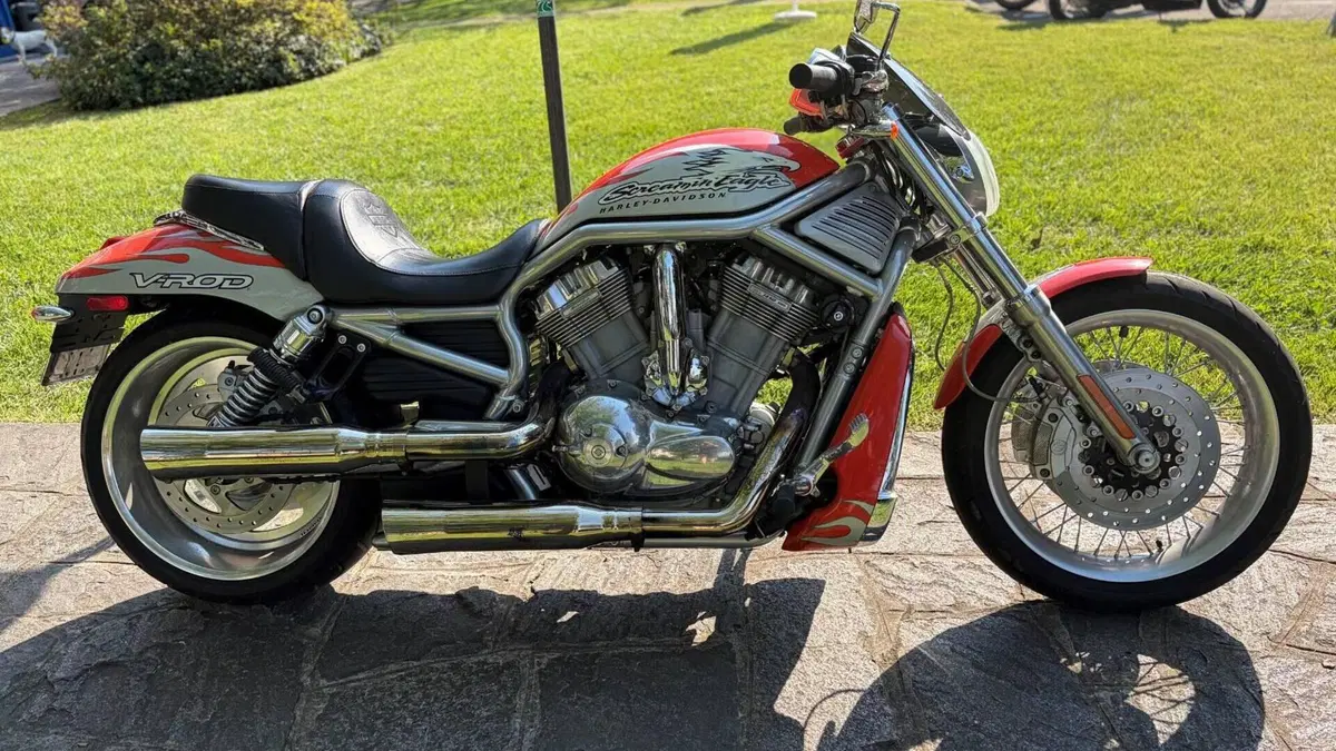Harley-Davidson 1250 V-Rod (2005 - 06) VRSCSE  (7)