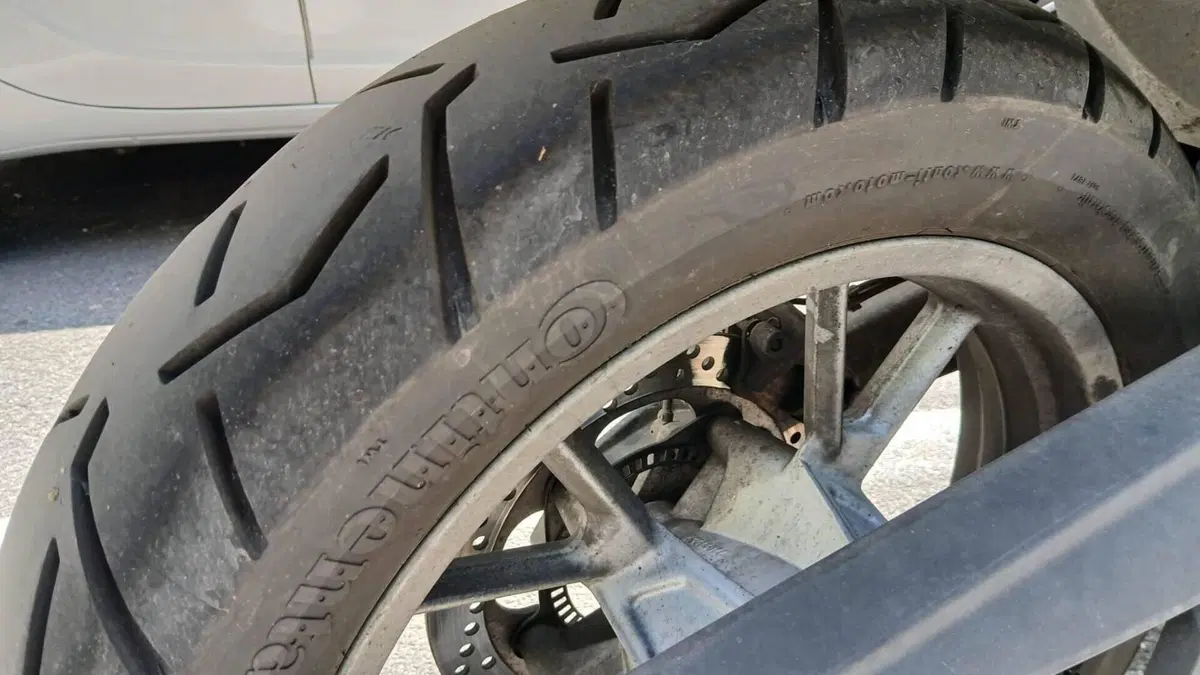 Bmw F 650 GS (2008 - 12)  (7)