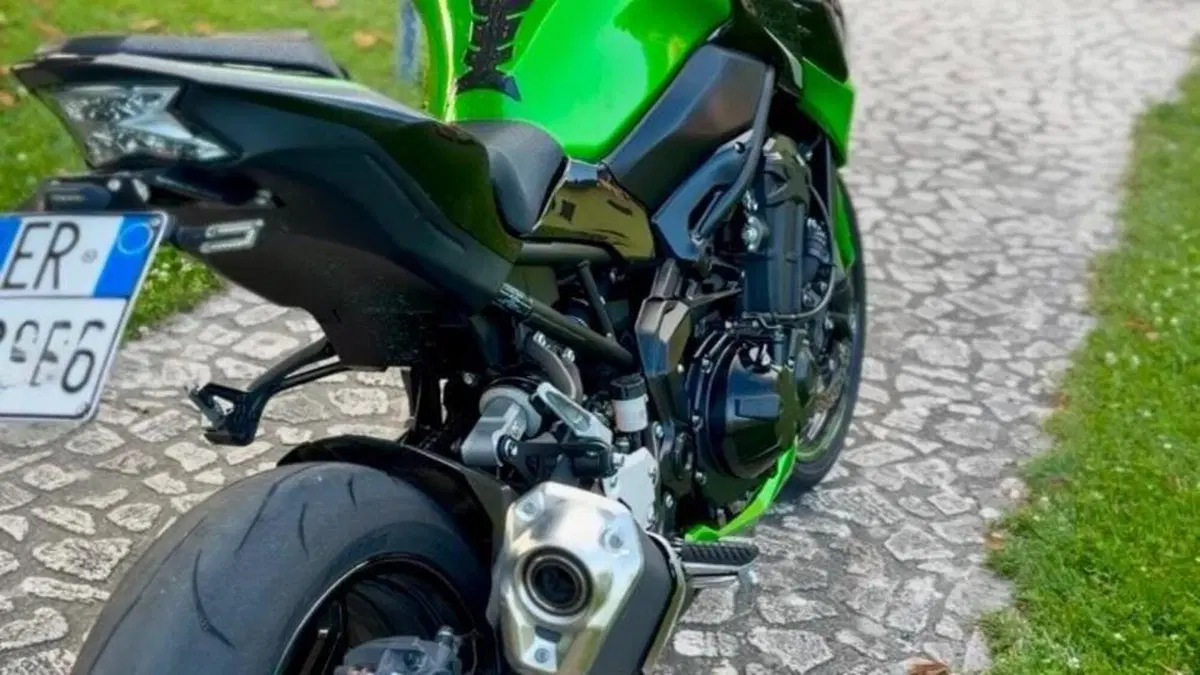 Kawasaki Z 900 A2 (2020)  (2)