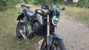 Honda CB 650 R (2019 - 20)  (2)