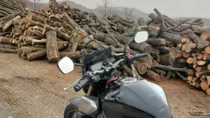 Honda CB 650 R (2019 - 20)  (4)