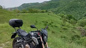 Honda CB 650 R (2019 - 20)  (8)