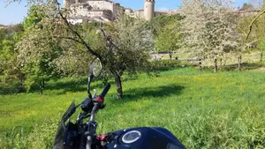 Honda CB 650 R (2019 - 20)  (19)