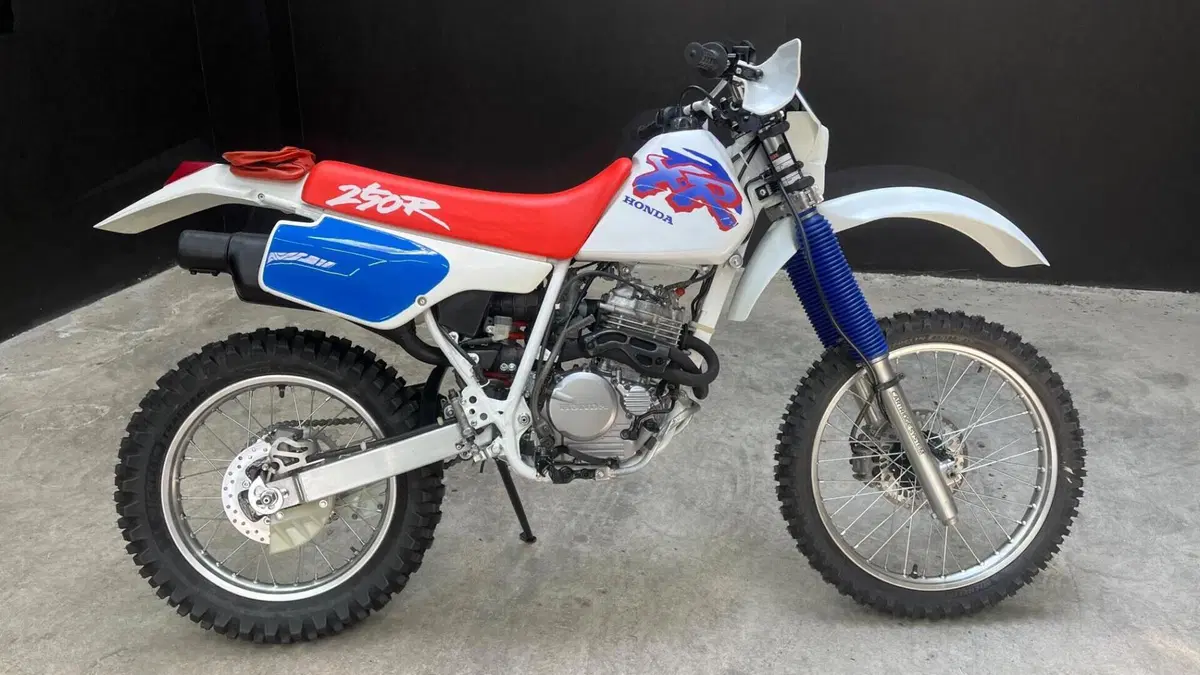 Honda   (5)