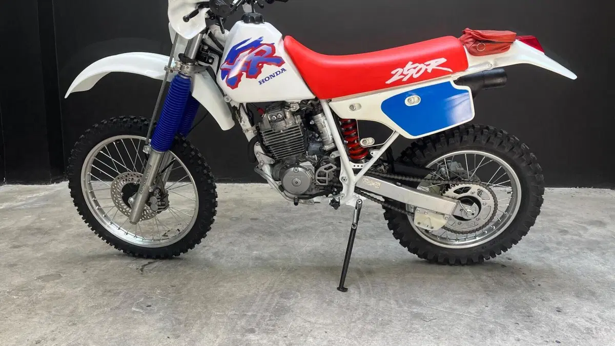 Honda   (6)