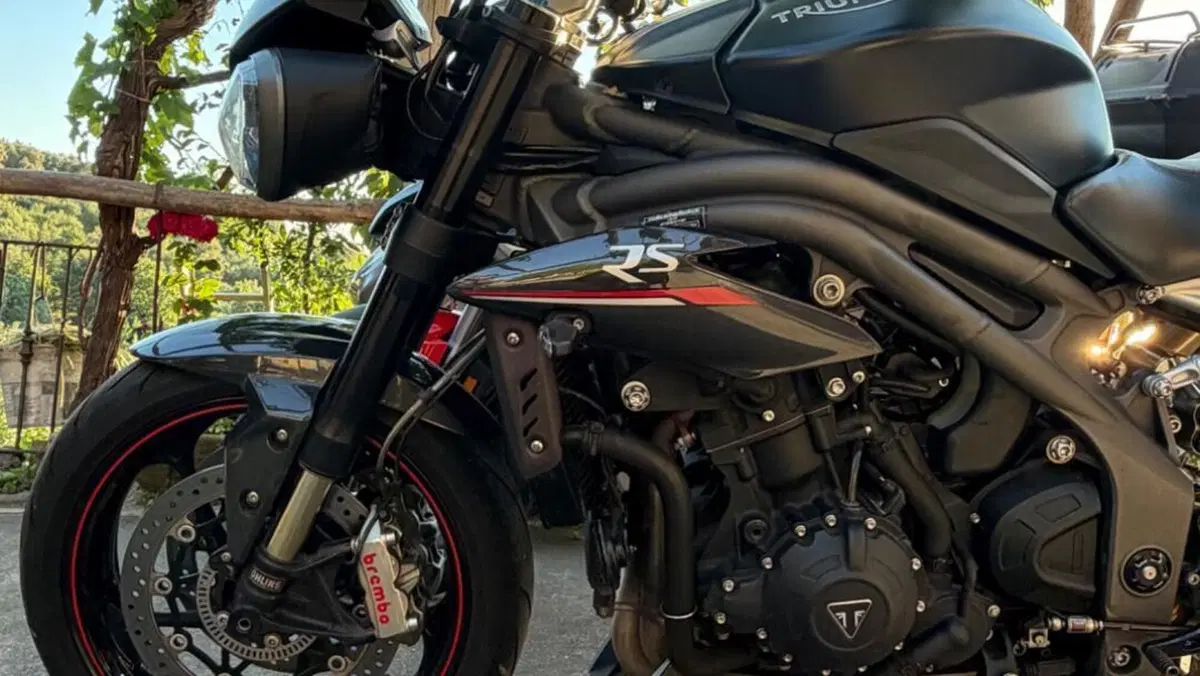 Triumph Speed Triple 1050 RS (2018 - 20)  (3)