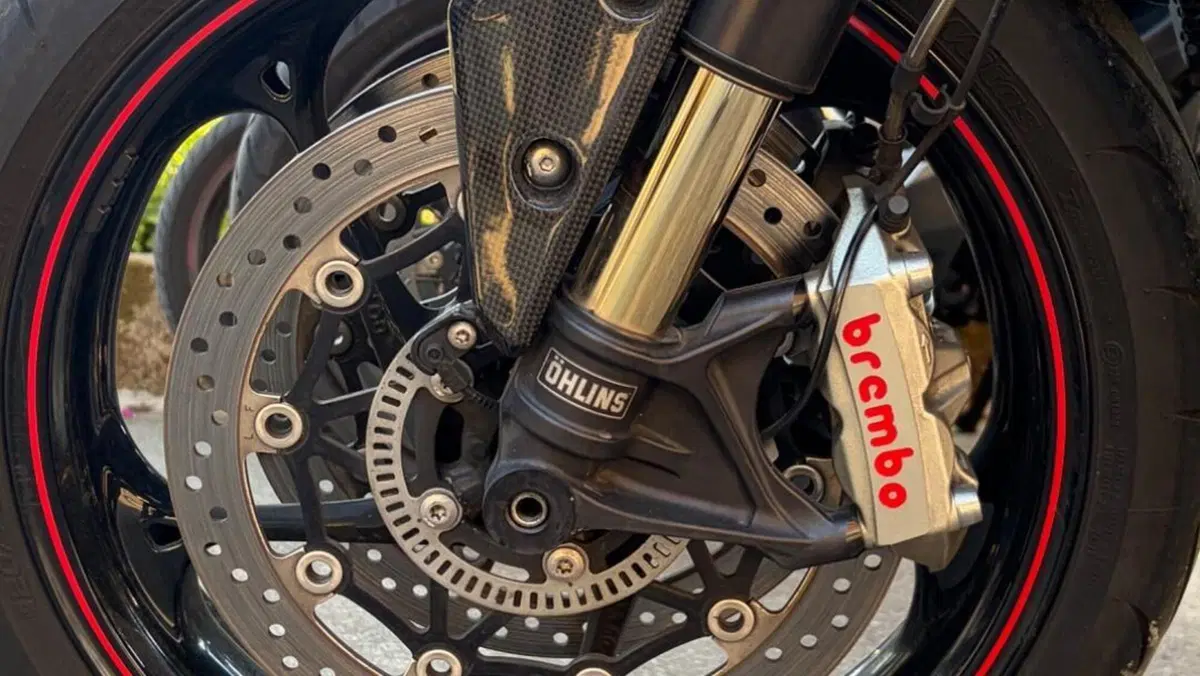 Triumph Speed Triple 1050 RS (2018 - 20)  (4)