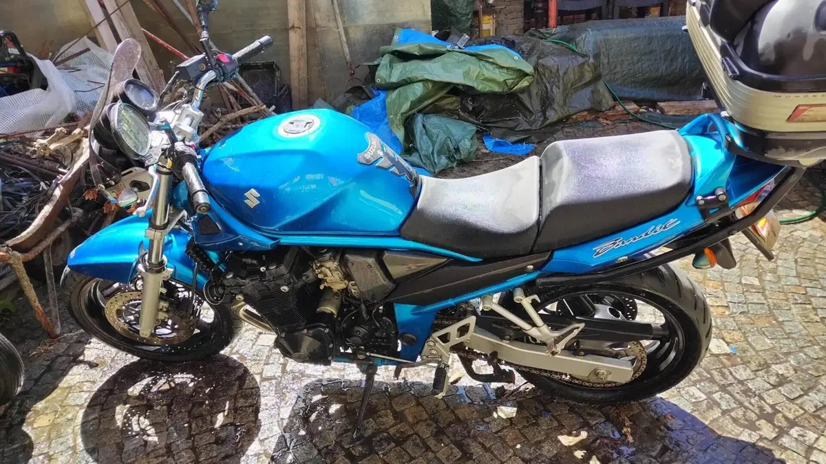 Suzuki GSF 650 Bandit (2005 - 06)  (2)