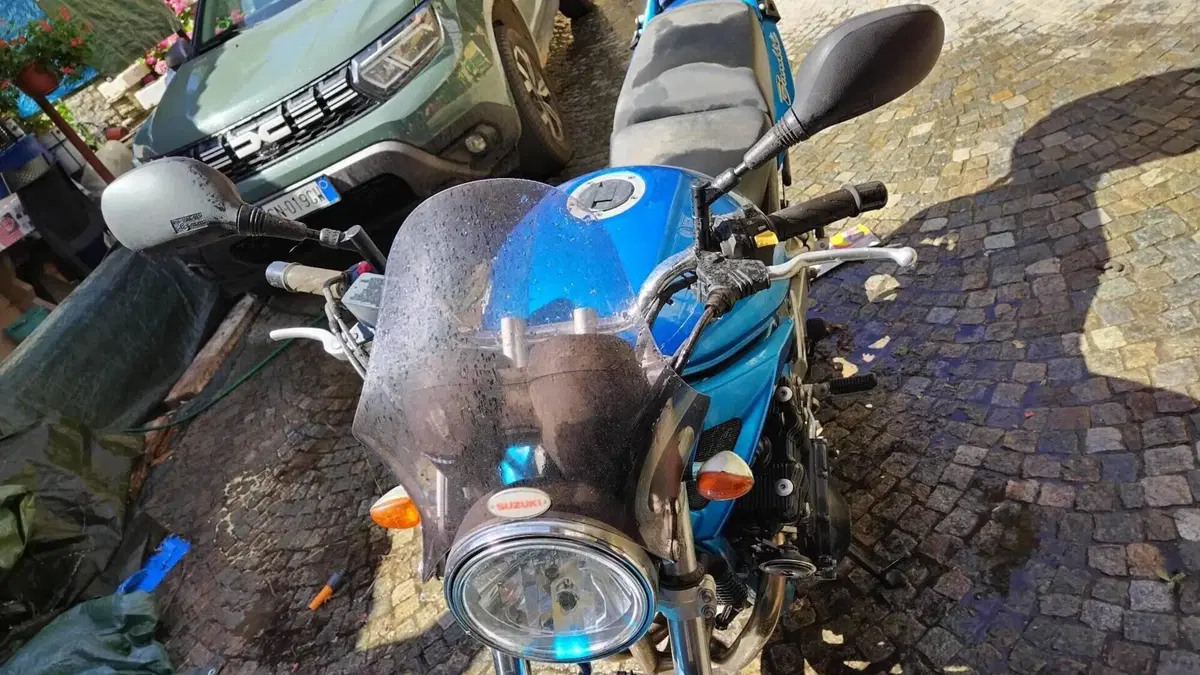 Suzuki GSF 650 Bandit (2005 - 06)  (4)