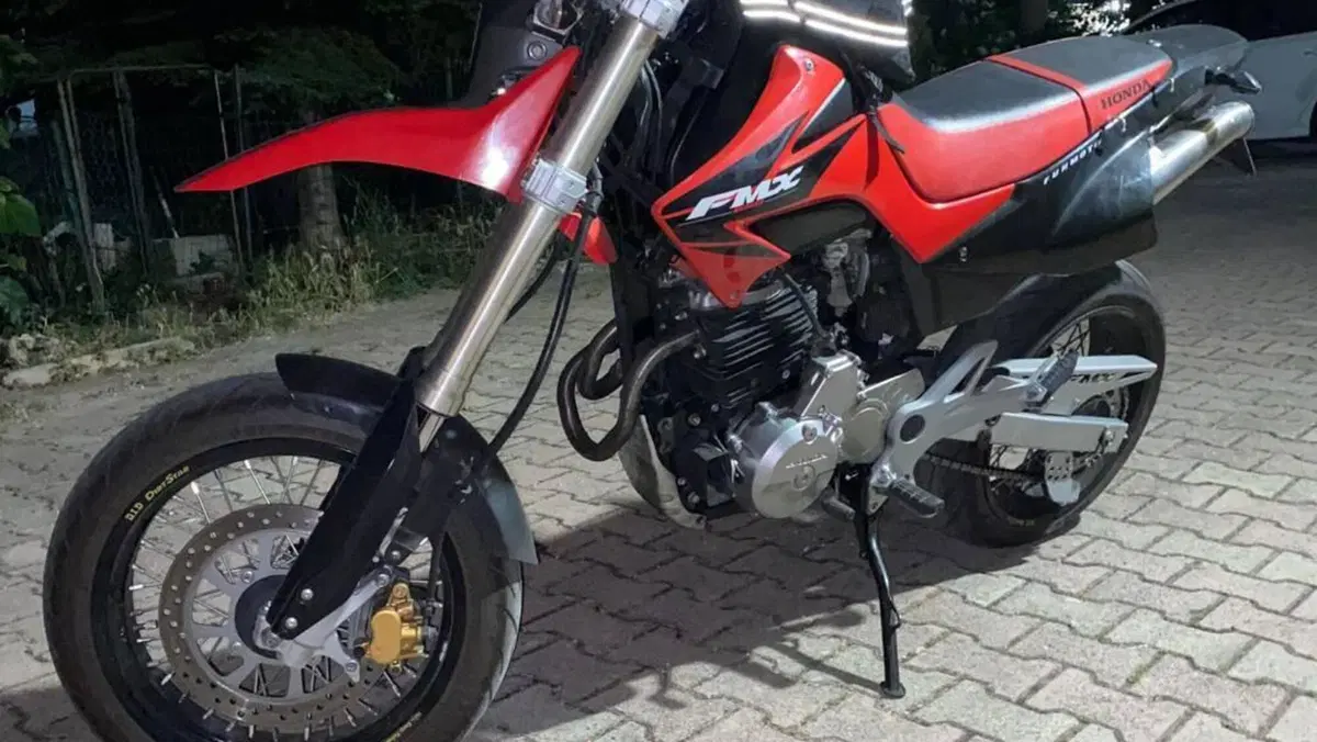 Honda FMX 650  (2)