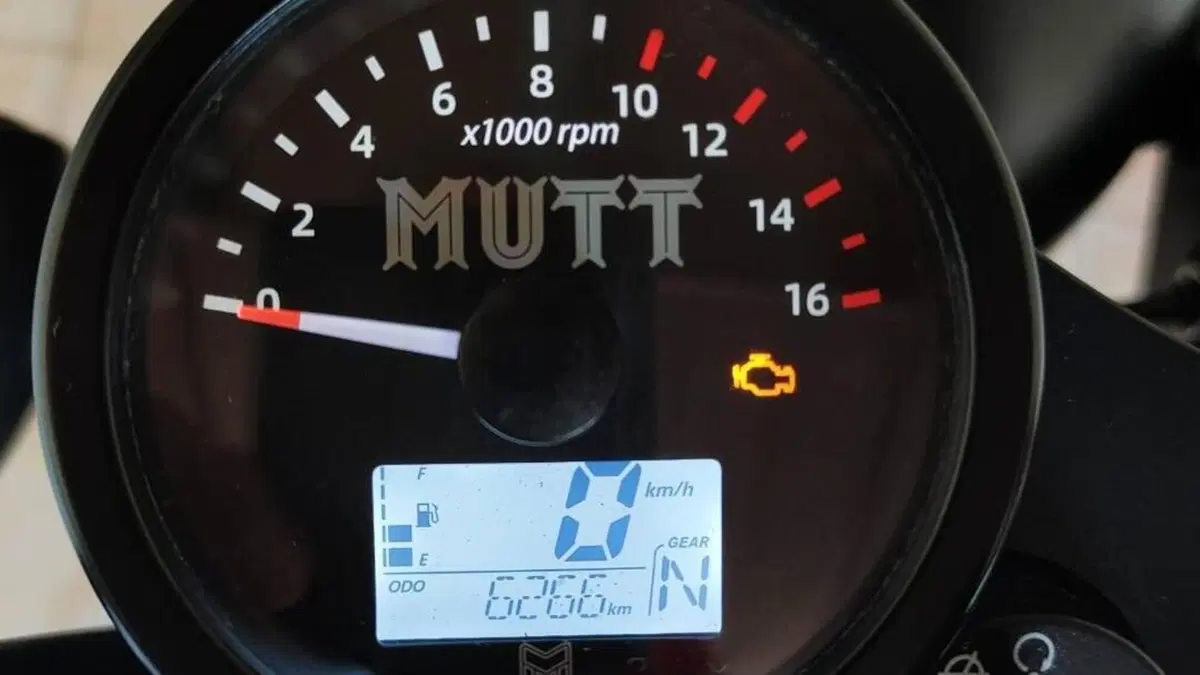 Mutt Motorcycles Mastiff 125 (2021 - 25)  (5)