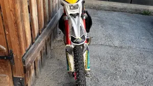 GASGAS EC 300 (2010)  (2)