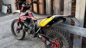 GASGAS EC 300 (2010)  (4)