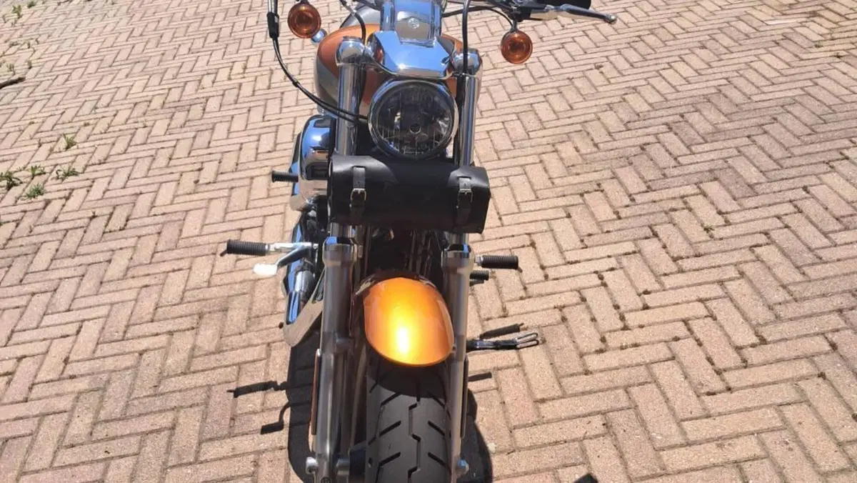 Harley-Davidson 1200 Custom ABS (2014 - 16) - XL 1200C  (2)
