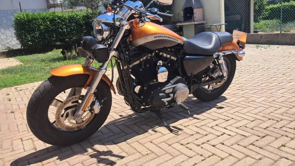 Harley-Davidson 1200 Custom ABS (2014 - 16) - XL 1200C  (3)