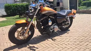 Harley-Davidson 1200 Custom ABS (2014 - 16) - XL 1200C  (3)
