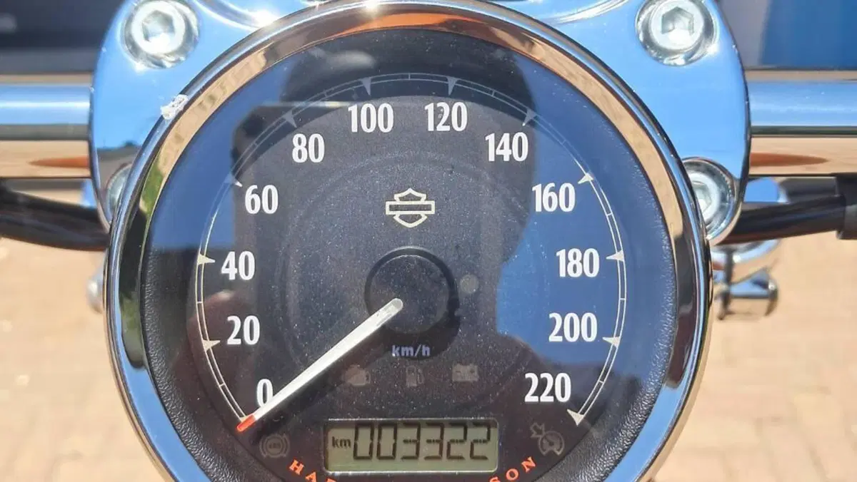 Harley-Davidson 1200 Custom ABS (2014 - 16) - XL 1200C  (4)