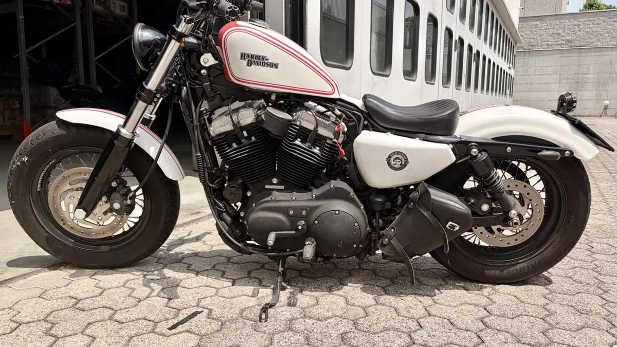Harley-Davidson 1200 Custom (2007 - 13) - XL 1200C  (3)