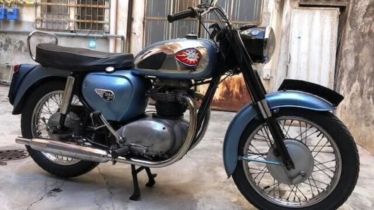 Bsa   (6)