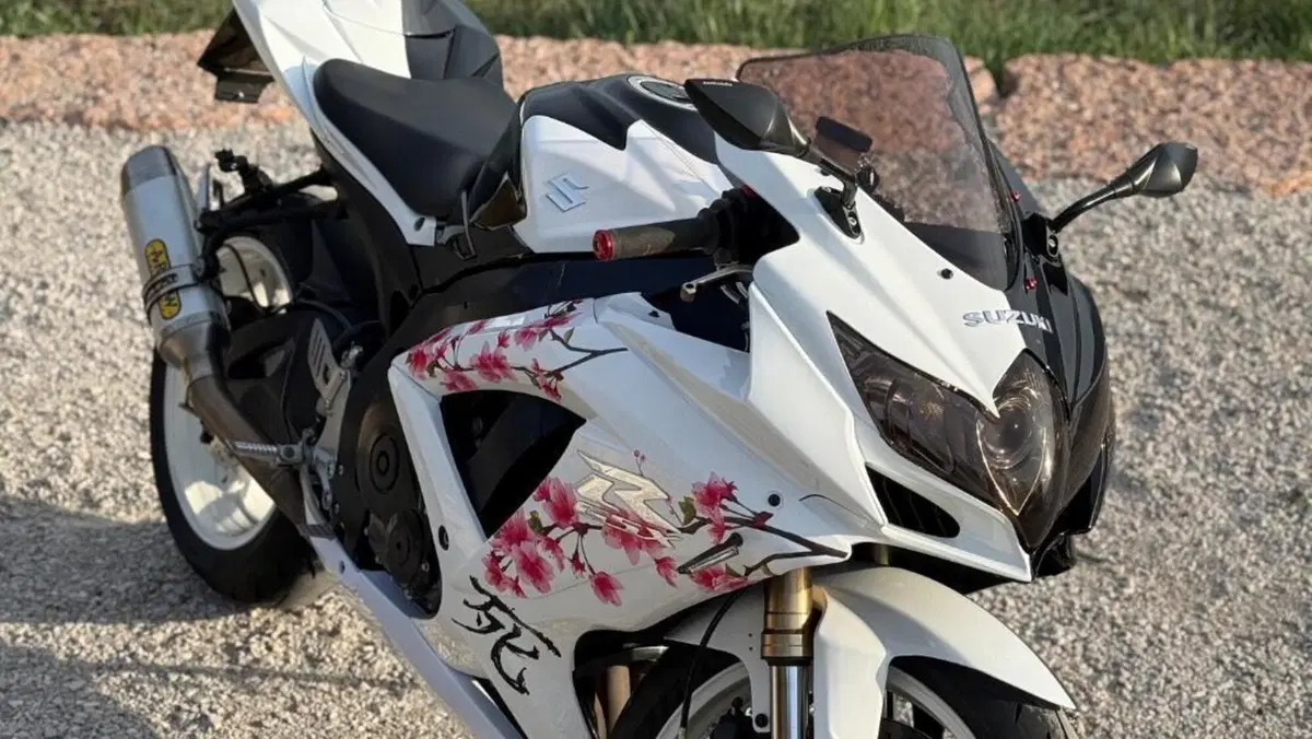 Suzuki GSX R 600 (2008 - 10) 