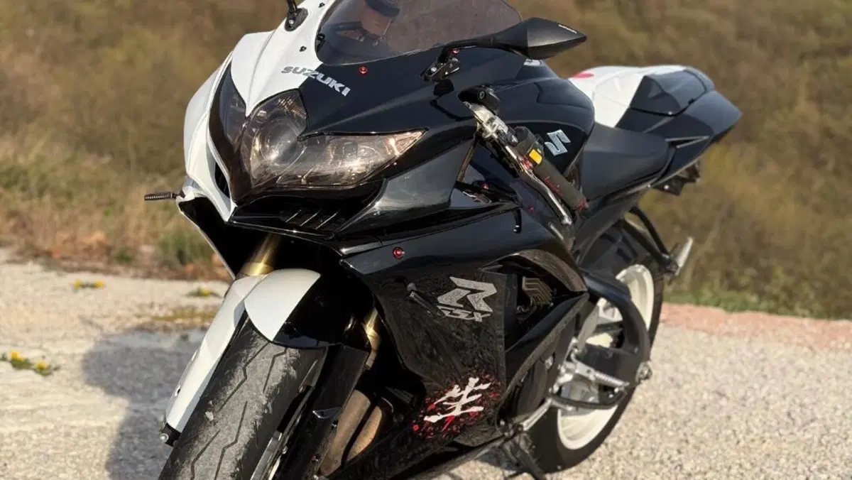 Suzuki GSX R 600 (2008 - 10)  (3)