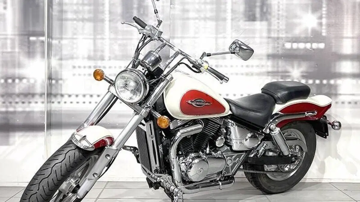Suzuki Marauder VZ 800  (7)