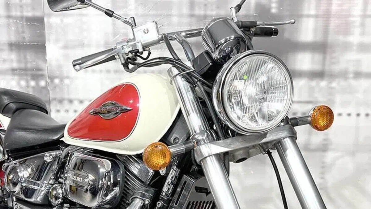 Suzuki Marauder VZ 800  (9)