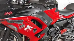 Kawasaki Ninja 650 40th Anniversary Edition (2024)  (3)