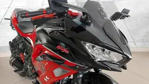 Kawasaki Ninja 650 40th Anniversary Edition (2024)  (7)