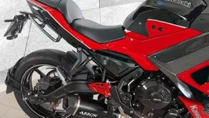 Kawasaki Ninja 650 40th Anniversary Edition (2024)  (9)