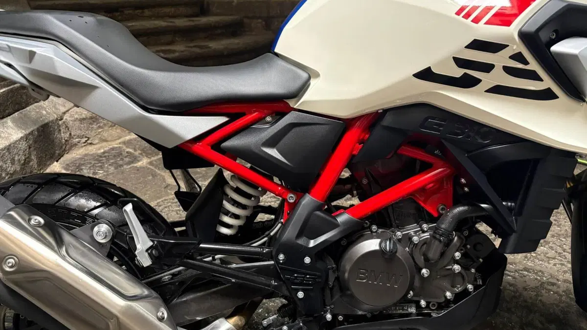 Bmw G 310 GS (2021 - 25)  (6)