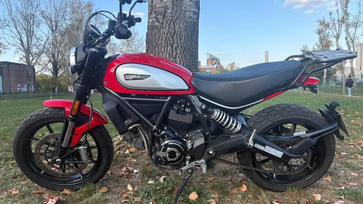 Ducati Scrambler 800 Icon (2021 - 22)  (2)