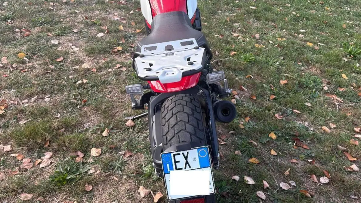 Ducati Scrambler 800 Icon (2021 - 22)  (3)
