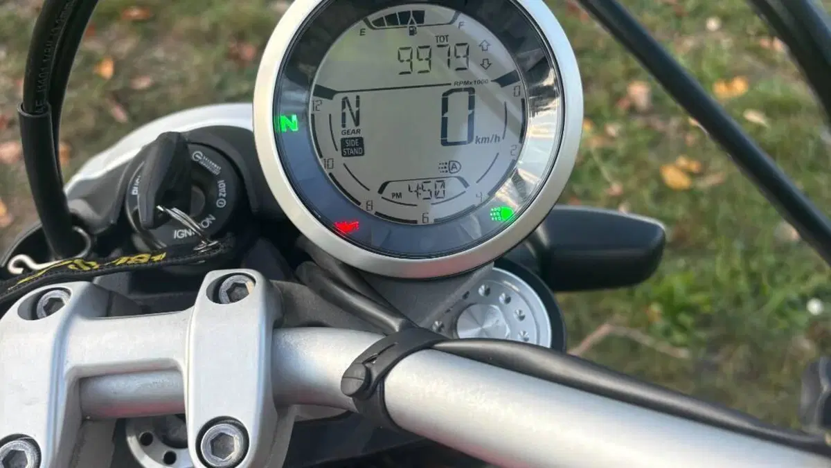 Ducati Scrambler 800 Icon (2021 - 22)  (5)