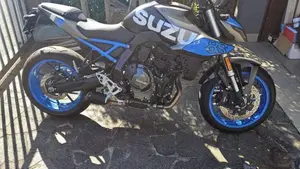 Suzuki GSX-8S (2023 - 24)  (2)