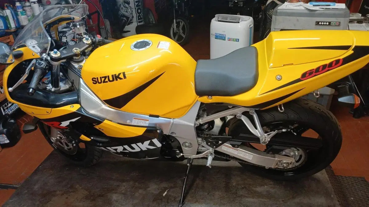 Suzuki GSX R 600 (2001 - 03)  (2)