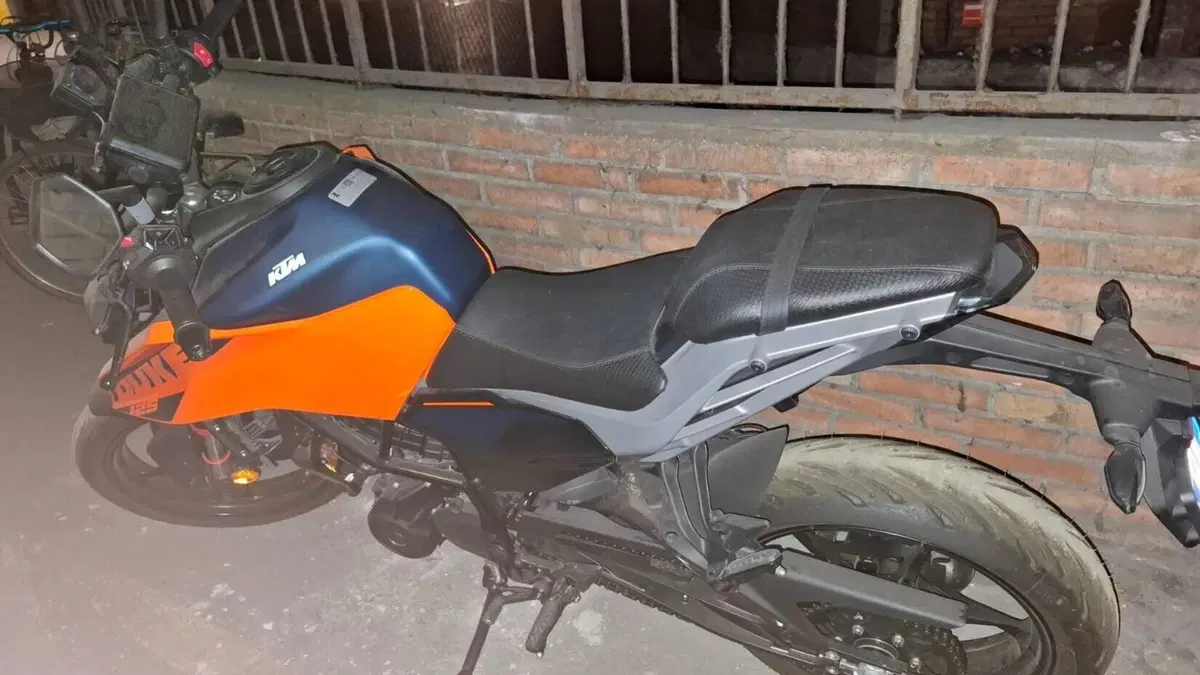 KTM 125 Duke (2024 - 25) 