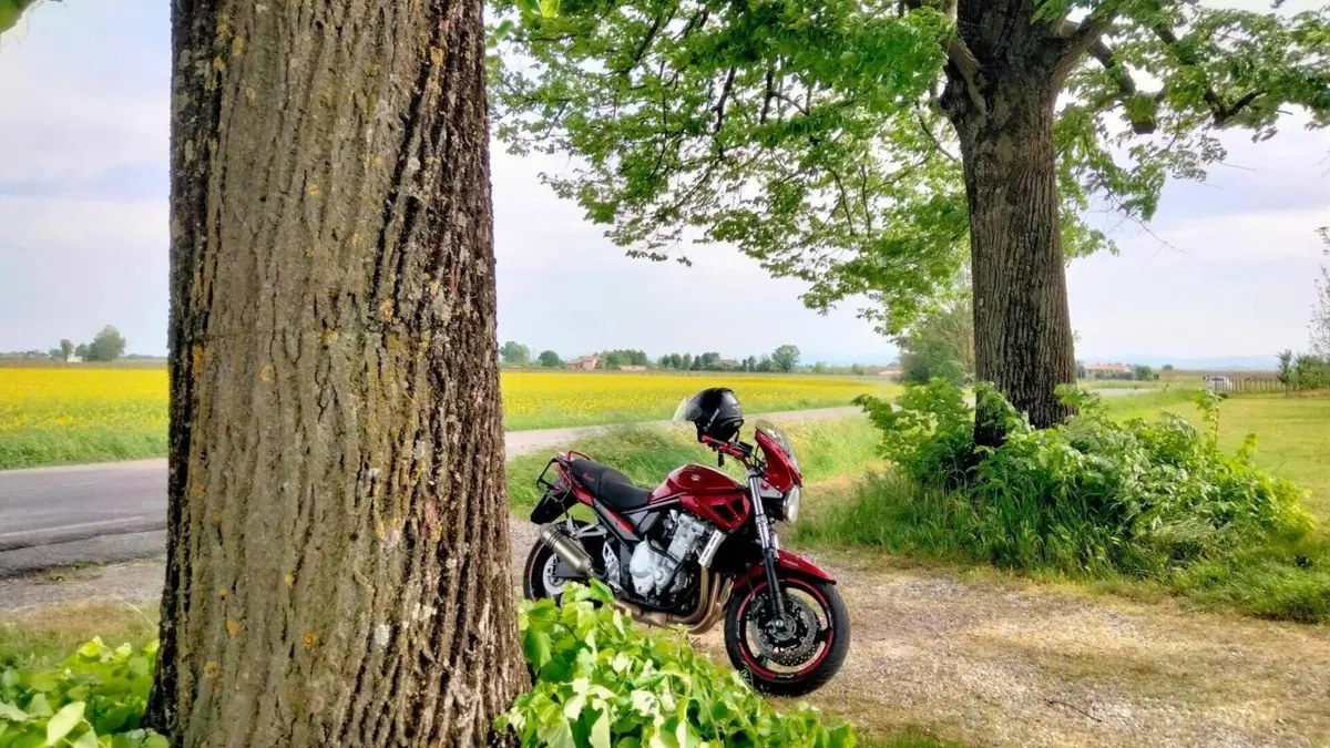 Suzuki GSF 1250 Bandit S (2006 - 11)  (3)