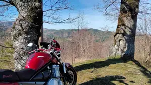Suzuki GSF 1250 Bandit S (2006 - 11)  (4)