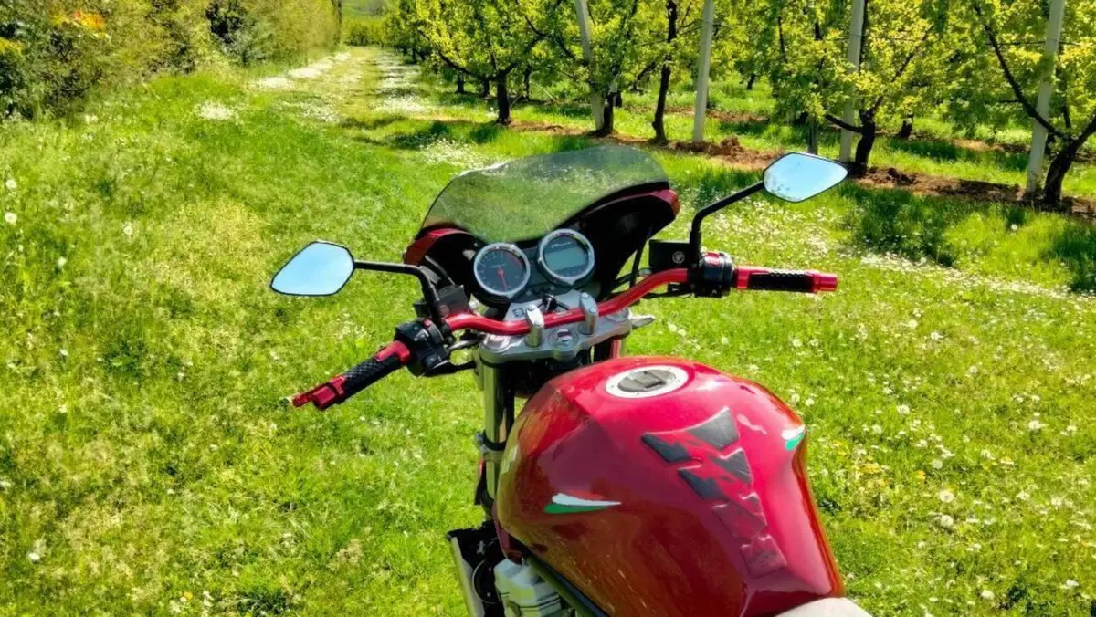 Suzuki GSF 1250 Bandit S (2006 - 11)  (7)