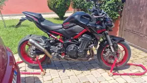 Kawasaki Z 900 (2021 - 24)  (2)