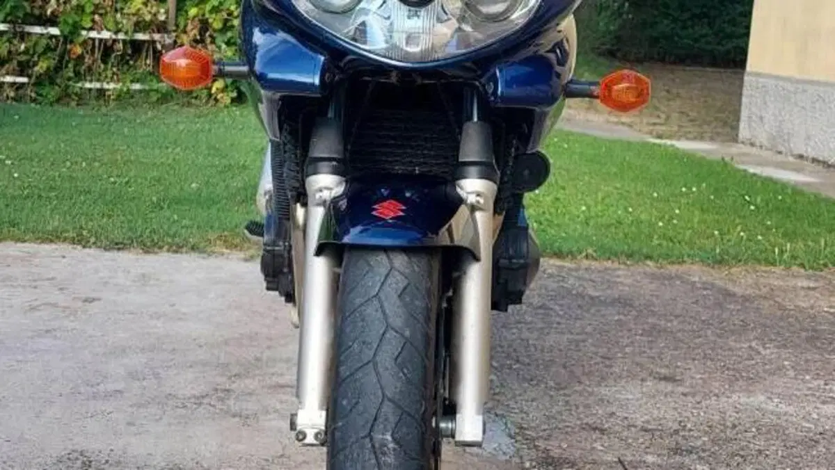 Suzuki GSF 1200 Bandit (2001 - 06)  (2)