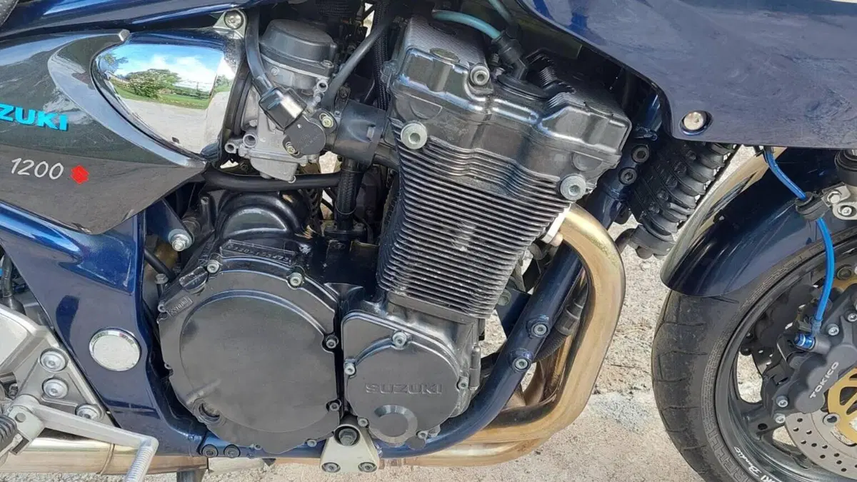 Suzuki GSF 1200 Bandit (2001 - 06)  (7)