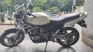 Kawasaki ER-5 500 (2001 - 06)  (3)