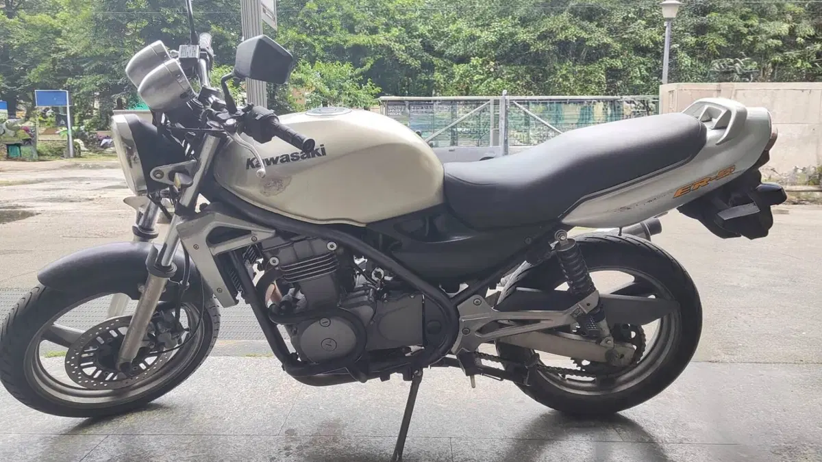 Kawasaki ER-5 500 (2001 - 06)  (4)