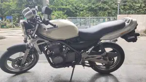 Kawasaki ER-5 500 (2001 - 06)  (4)