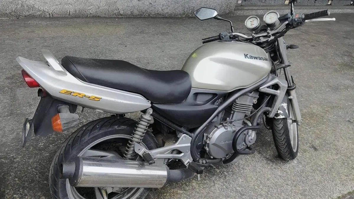 Kawasaki ER-5 500 (2001 - 06)  (5)